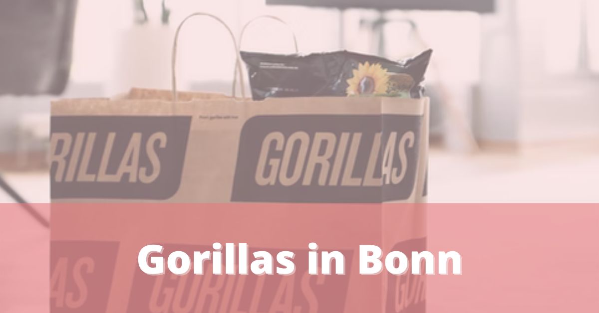 Gorillas Bonn