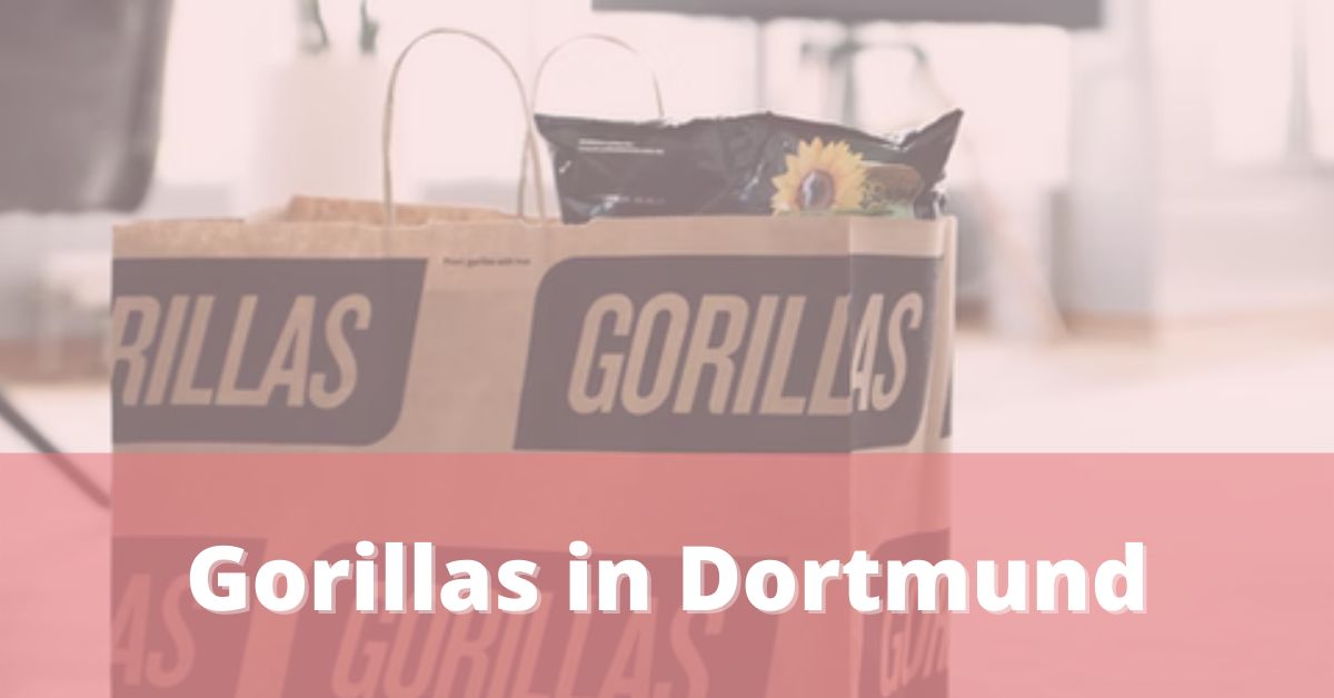 Gorillas Dortmund