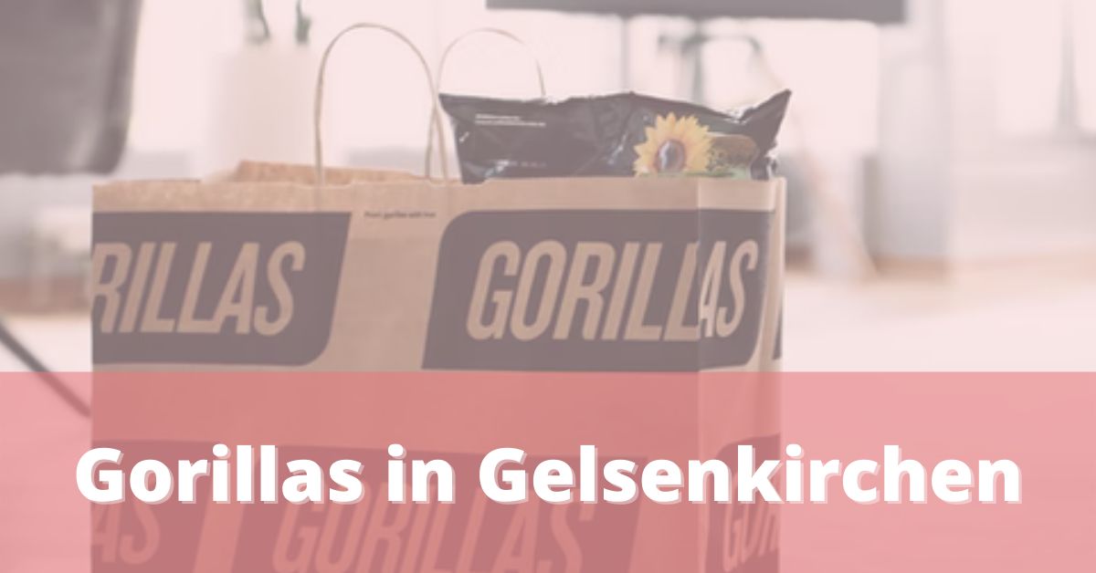 Gorillas Gelsenkirchen