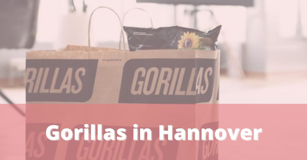 Gorillas Hannover