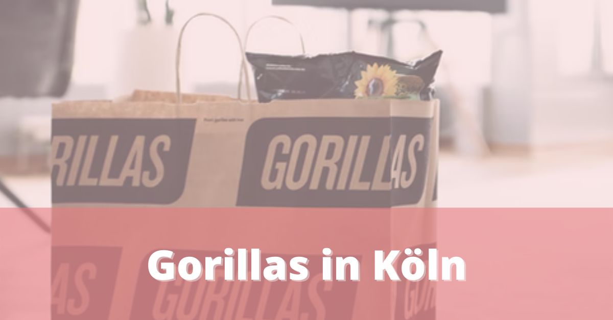 Gorillas Köln