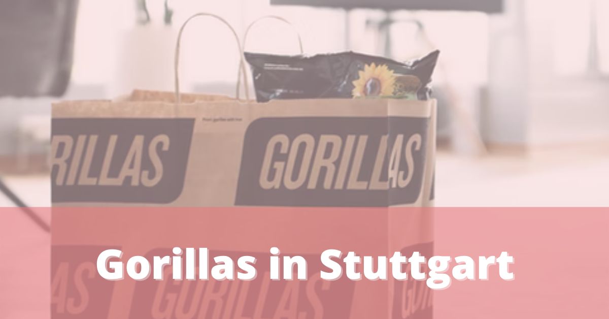 Gorillas Stuttgart